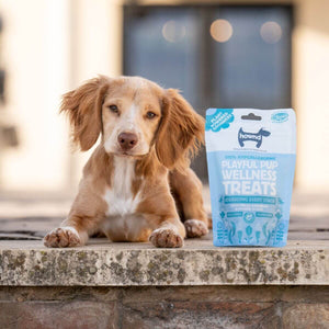 Hownd - Playful Pup Plant Based Wellness Treats 100g