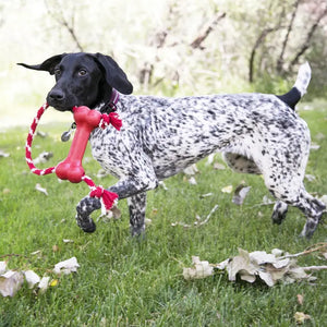 Kong Goodie Bone with Rope