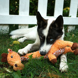 Kong Shaker Luvs Giraffe L