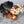KONG TenniShoes Giraffe